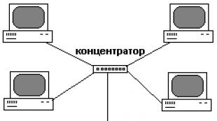 Hlavné komponenty a typy počítačových sietí Aké typy lokálnych sietí existujú